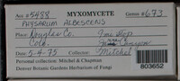 Image Associated With the Occurence